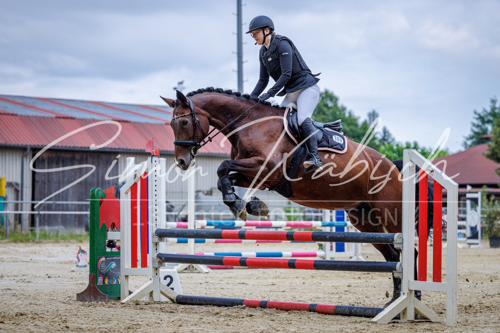 20260705-_3LI3652 | Tierfotografie Pferde, Hunde, Katzen, Haustiere.
Turnierfotografie Reitturniere, Reiten, Springreiten, Dressur in Hanau, dem Main-Kinzig-Kreis und dem Rhein-Main- Gebiet um Frankfurt