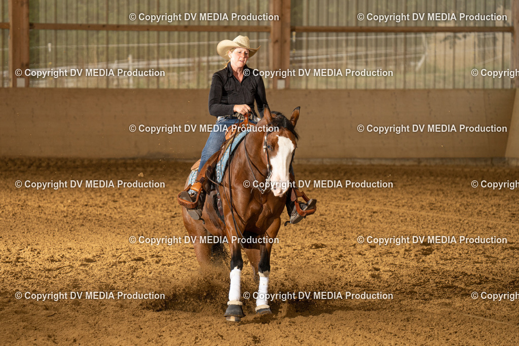 LAU01355 | dv-media-shop - Realisiert mit Pictrs.com