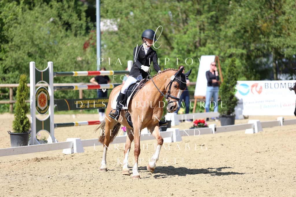 IMGS4045 | pl-fotografie