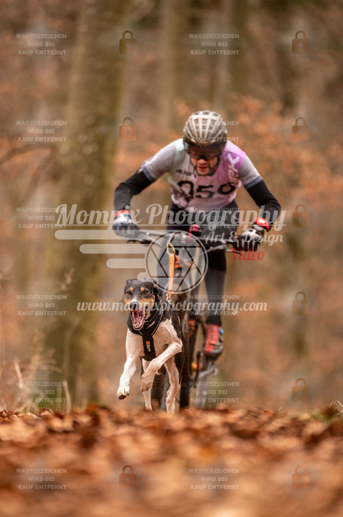 AKM_ST_2023_Son_Bike-18 | PayLife