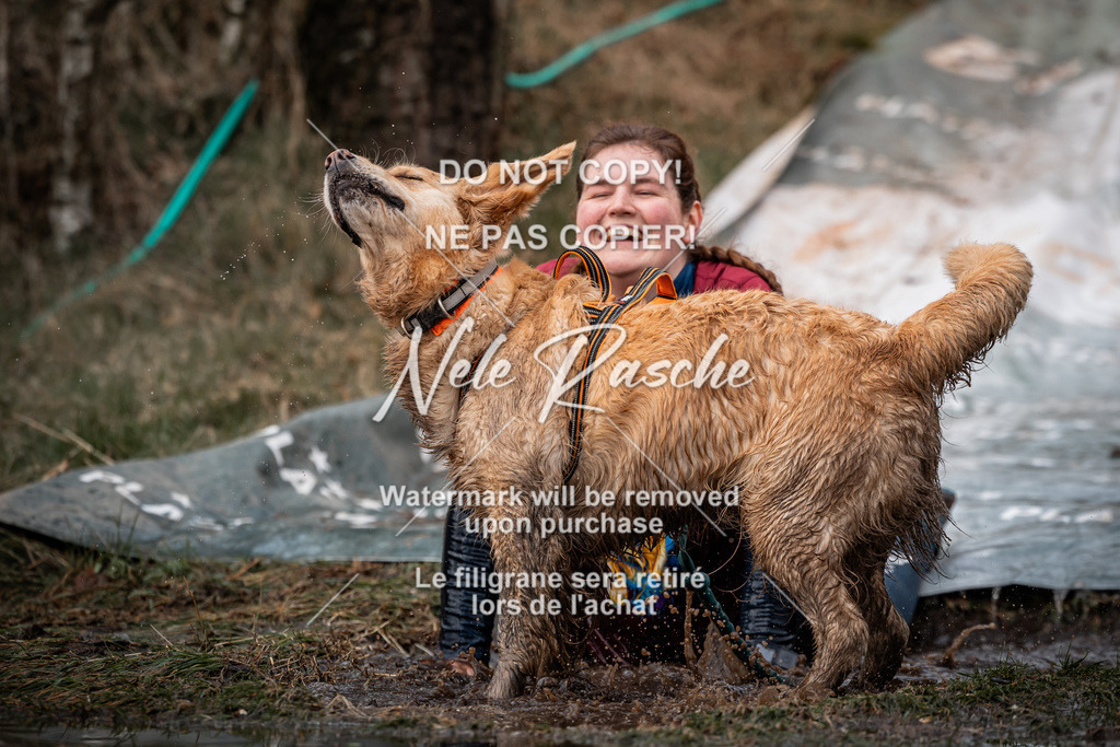 nelerasche_1330-1400_227 | nelerasche