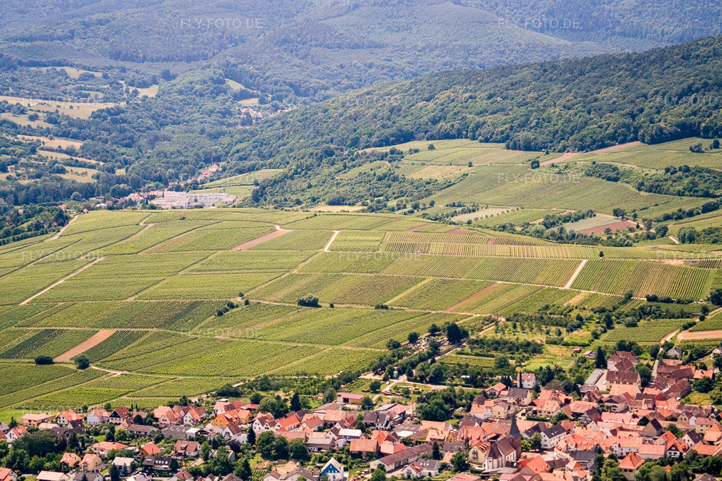Luftbild: Sonnenberg im Ortsteil Schweigen in Schweigen-Rechtenbach im Bundesland Rheinland-Pfalz in Deutschland. Foto: IMG_11116.jpg vom 14.06.2008 durch Werner Riehm/FLY-FOTO.de