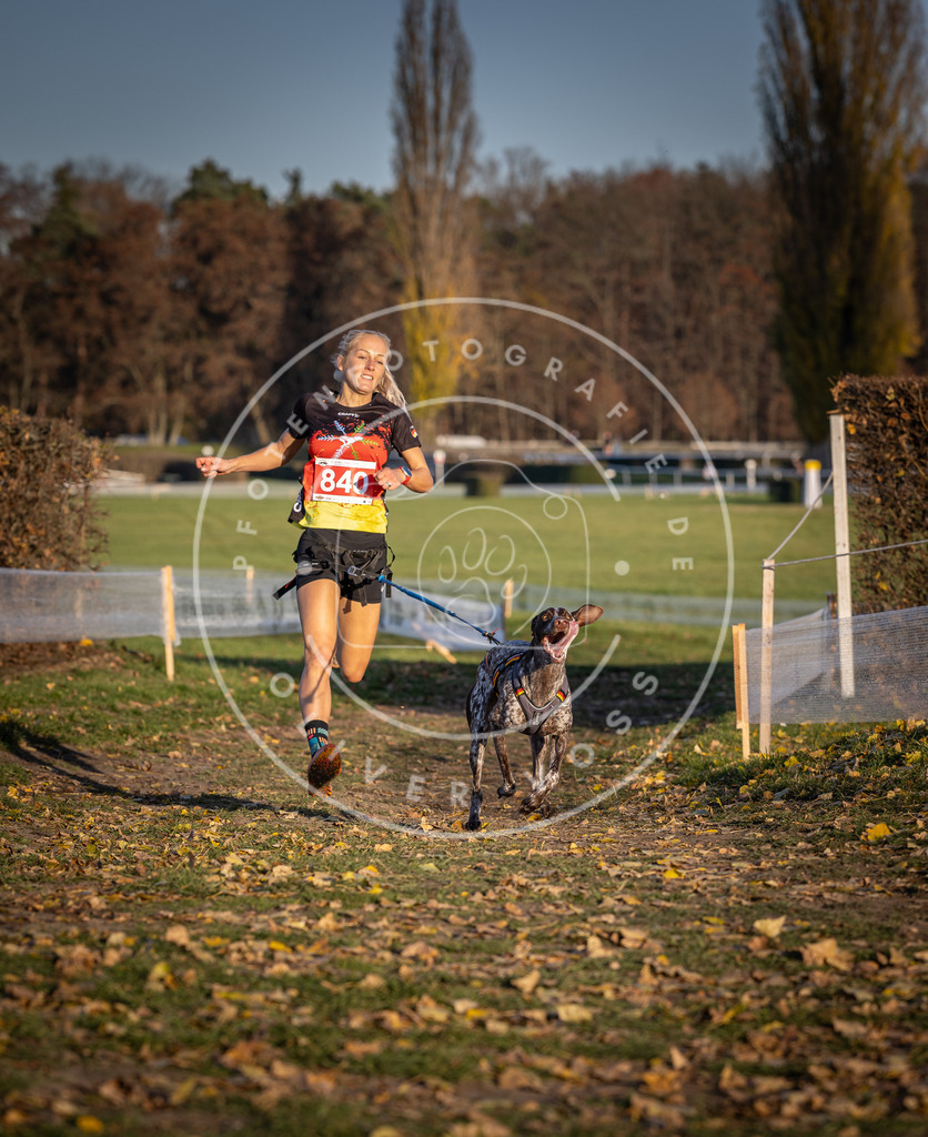 CaniXpix_DV3A3630 | Hundefotografie, Tierfotograf, Pfotenfotografie, Fotoshooting Hund, Hunde Portrait, Hundesport, Hundeportraits, Heideshooting, Hunde, Sportfotograf, Hundefotograf, Turnierhundsport, THS,  - Realisiert mit Pictrs.com