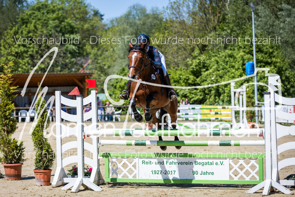 Donop24-Stil-L-031 | MomenTaufnahmen Pferdesportfotos