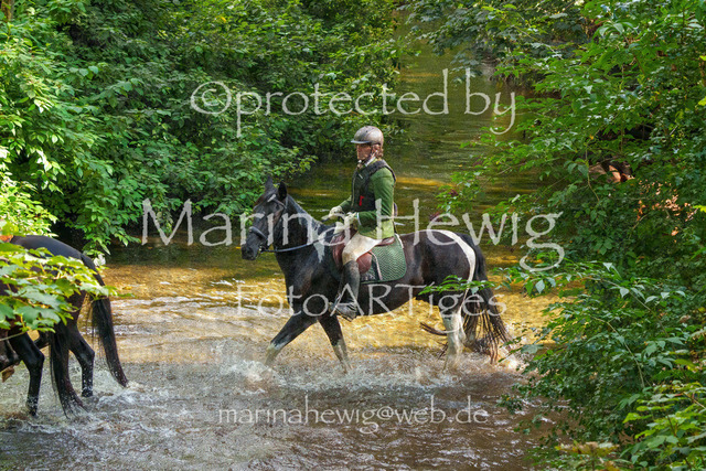 Jagd Perdoel_MarinaHewigMCH05087 | Fotografie, FotoArt, PferdesportArt, Pferdesportfotografie, Landschaftsfotografie, Reisefotografie, Reise, Pferde - Realisiert mit Pictrs.com