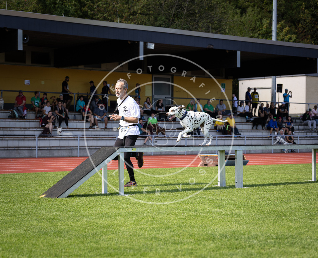 Pfotenfotografie_DV3A8211 | Hundefotografie, Tierfotograf, Pfotenfotografie, Fotoshooting Hund, Hunde Portrait, Hundesport, Hundeportraits, Heideshooting, Hunde, Sportfotograf, Hundefotograf, Turnierhundsport, THS,  - Realisiert mit Pictrs.com