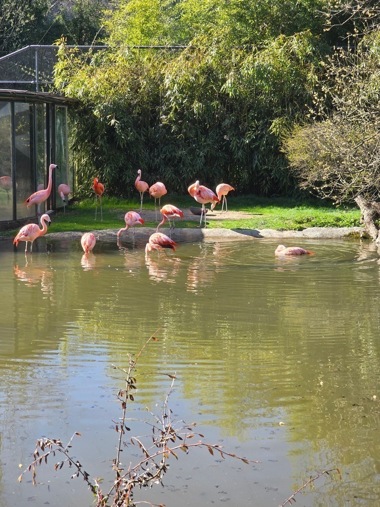 20250407_162154 | Heilkarten - Realisiert mit Pictrs.com