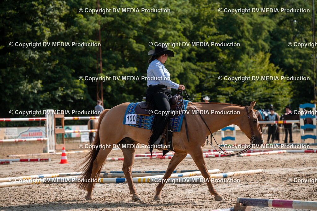 ZS3_9277 | dv-media-shop - Realisiert mit Pictrs.com