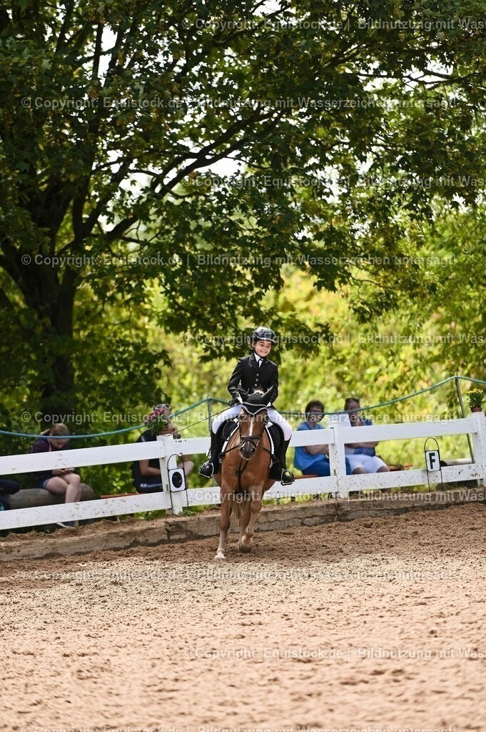 20230716_10-3_Reiter-WB Schritt - Trab - Galopp_0166 | equistock