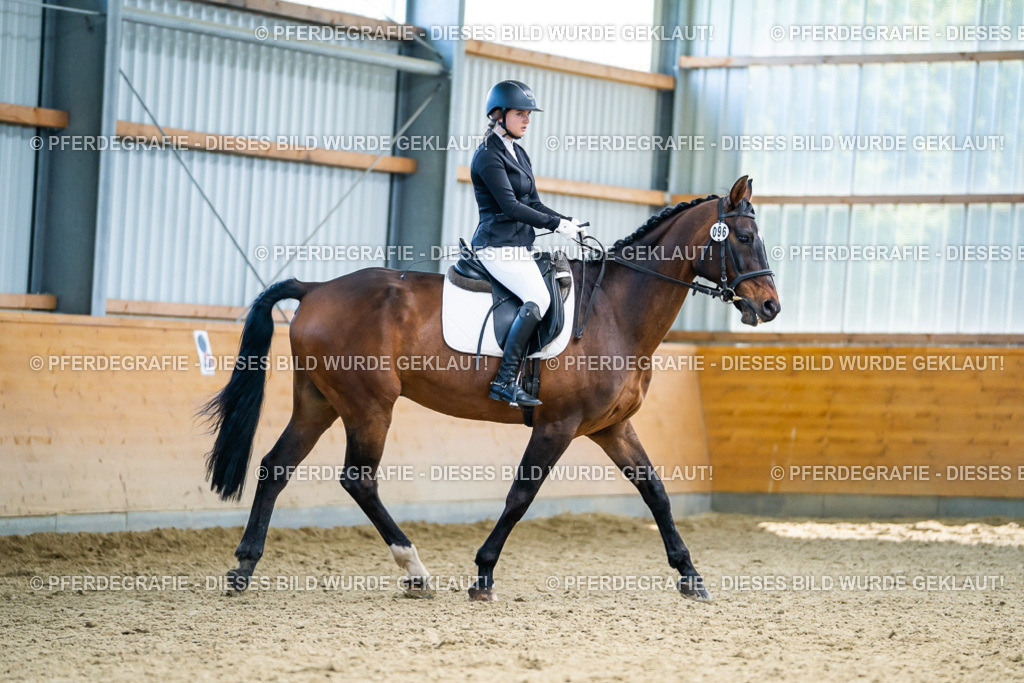 DSC05634 | Pferdegrafie