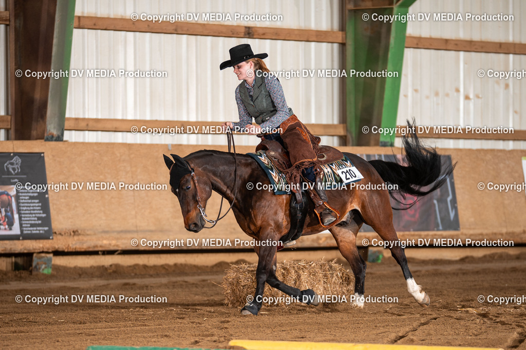 Balingen Tag 2-1900 | dv-media-shop - Realisiert mit Pictrs.com