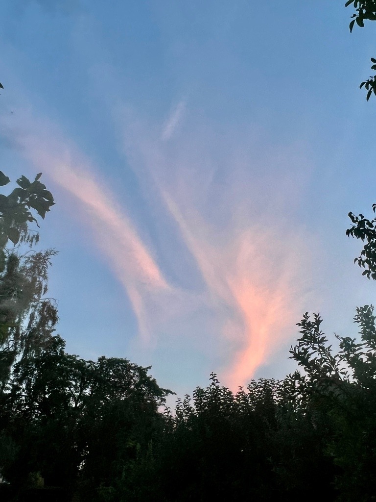 IMG_7506 | ace - Realisiert mit Pictrs.com