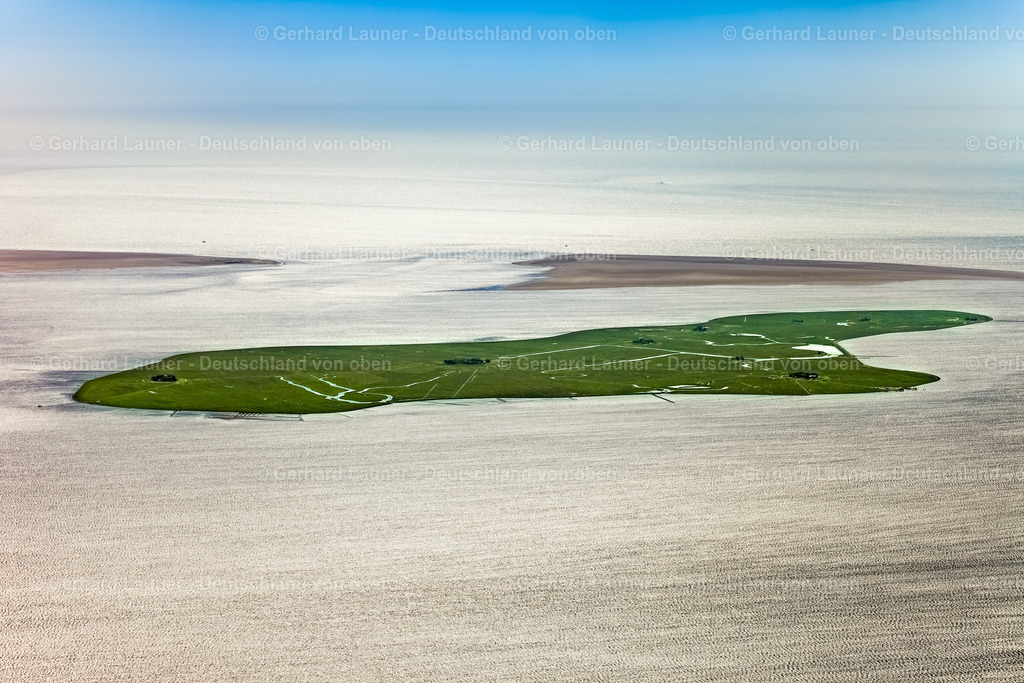 3090720 | Hallig Hooge, Nationalpark Schleswig-Holsteinisches Wattenmeer