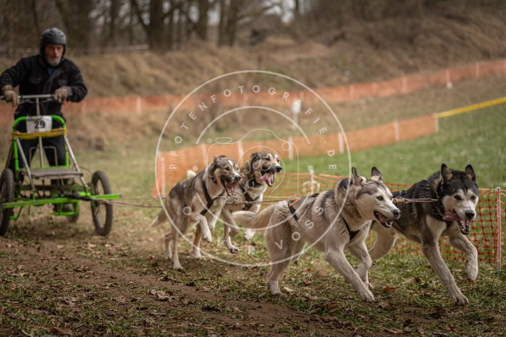 Pfotenfotografie_DV3A8428 | Hundefotografie, Tierfotograf, Pfotenfotografie, Fotoshooting Hund, Hunde Portrait, Hundesport, Hundeportraits, Heideshooting, Hunde, Sportfotograf, Hundefotograf, Turnierhundsport, THS,  - Realisiert mit Pictrs.com