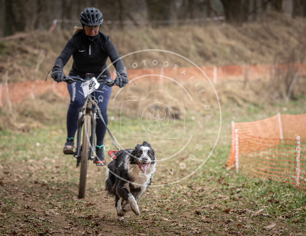 Pfotenfotografie_DV3A5836 | Hundefotografie, Tierfotograf, Pfotenfotografie, Fotoshooting Hund, Hunde Portrait, Hundesport, Hundeportraits, Heideshooting, Hunde, Sportfotograf, Hundefotograf, Turnierhundsport, THS,  - Realisiert mit Pictrs.com