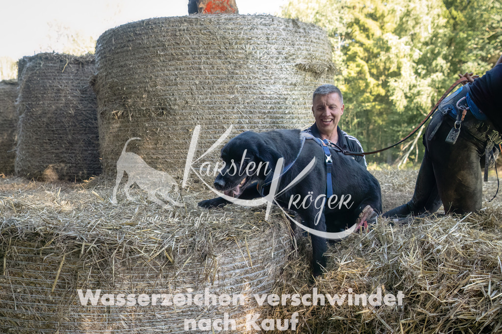 1454_ZZ94778-3-Bearbeitet | kk-dogfotos