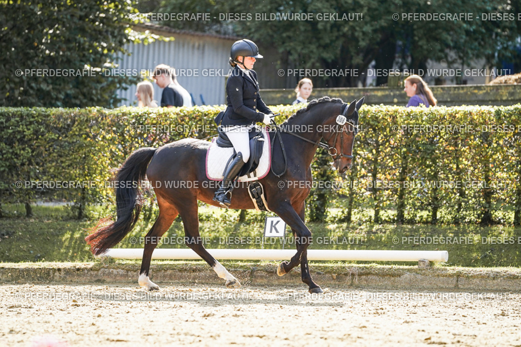 DSC07098 | Pferdegrafie