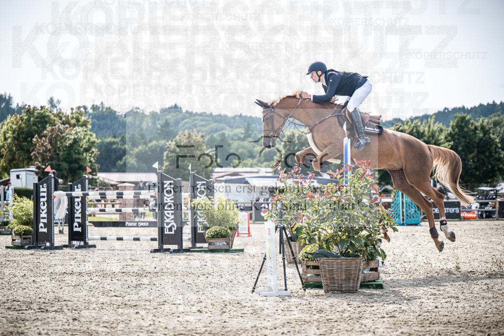 DOS_9275 | Entdecke hochwertige Reitturnierfotos von Foto Oger. Professionell, emotional und authentisch – jetzt Lieblingsmomente im Shop bestellen.Deutschlandweite Turnierfotografie. - Realisiert mit Pictrs.com
