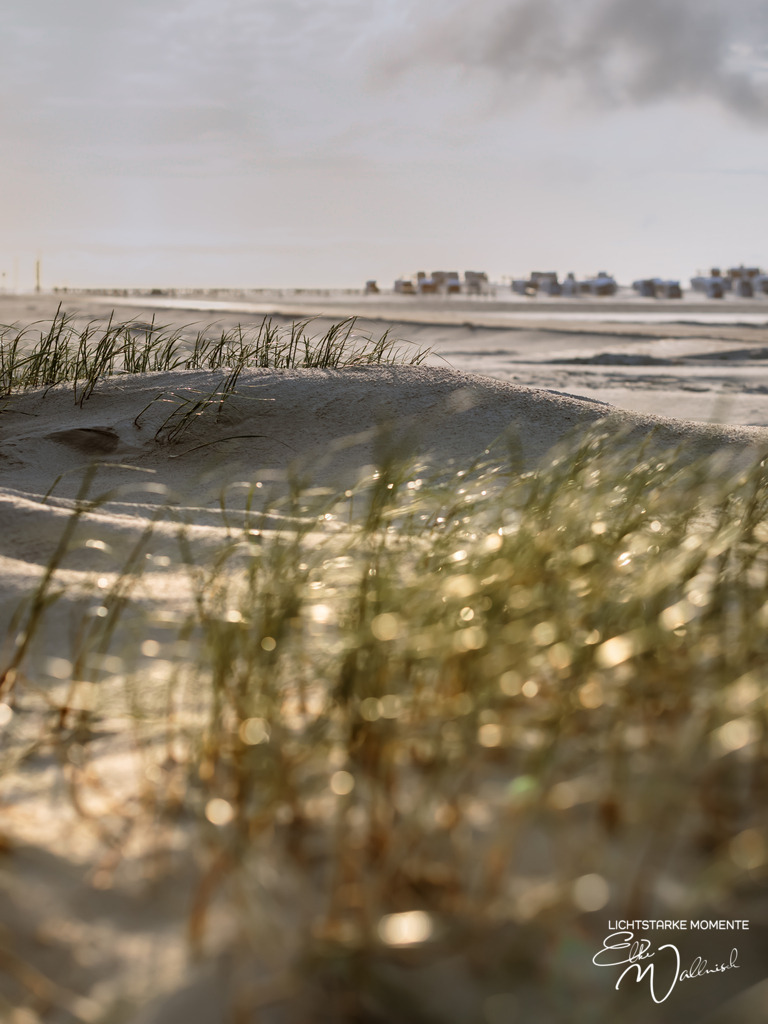 20250606-203842 NORDSEE - SPO _148-1 | Herzlich willkommen auf meiner Seite! Ich bin Elke Wallnisch, Deine Fotografin für lichtstarke Momente. Der Name steht für alles, was mich mit der Fotografie verbindet: Das Licht und seine machtvolle Wirkung auf eine Situation oder unsere Stimmung - Realisiert mit Pictrs.com