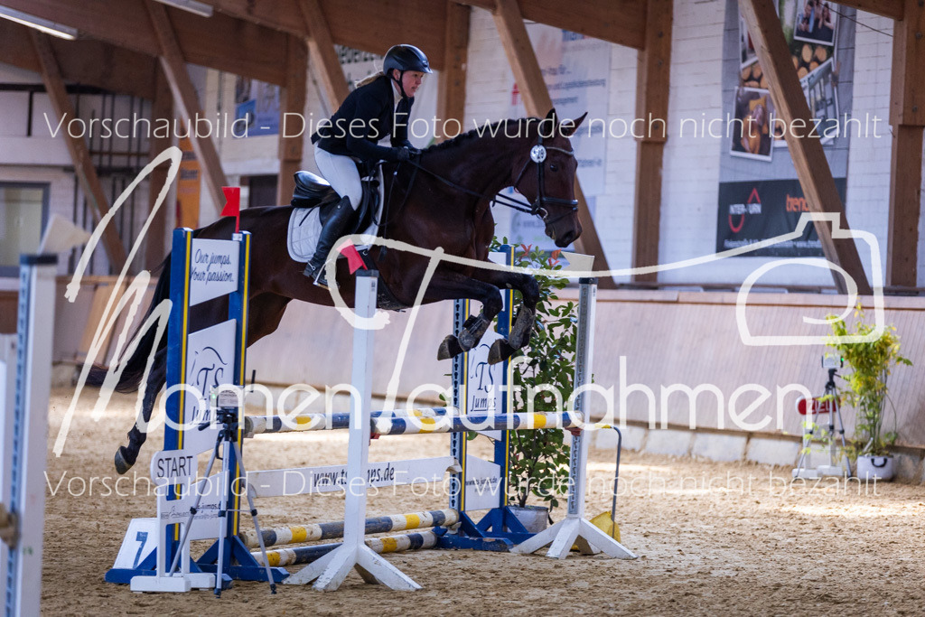 Sth-Gewöhnung-031 | MomenTaufnahmen Pferdesportfotos