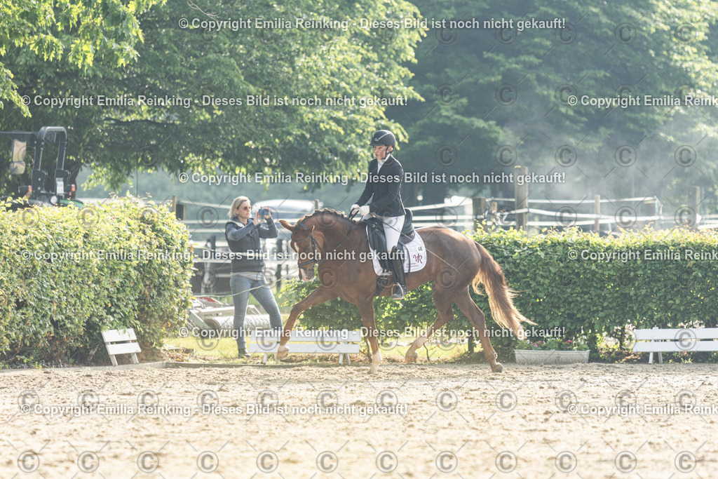 CL5A3741 | Emilia Reinking Fotografie - Realisiert mit Pictrs.com