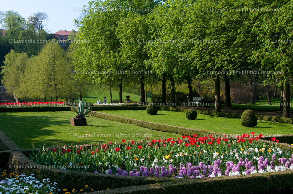 100494-4278 - Schlosspark Ballenstedt | Stockfoto und Bilderpool mit Bildmaterial aus Deutschland, dem Harz, Halberstadt, Quedlinburg, Wernigerode und weltweit. Qualitativ hochwertige und professionelle Fotos anschauen und kaufen. - Realisiert mit Pictrs.com