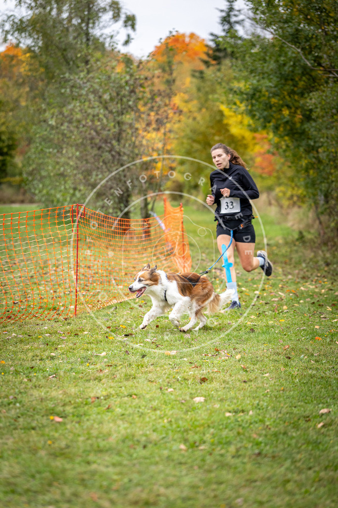 Pfotenfotografie_DV3A2147 | Hundefotografie, Tierfotograf, Pfotenfotografie, Fotoshooting Hund, Hunde Portrait, Hundesport, Hundeportraits, Heideshooting, Hunde, Sportfotograf, Hundefotograf, Turnierhundsport, THS,  - Realisiert mit Pictrs.com