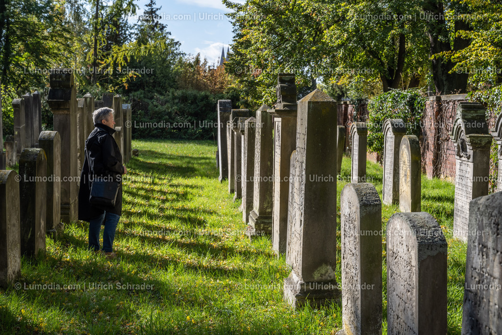10049-12661 - Jüdische Friedhöfe Halberstadt | Stockfoto und Bilderpool mit Bildmaterial aus Deutschland, dem Harz, Halberstadt, Quedlinburg, Wernigerode und weltweit. Qualitativ hochwertige und professionelle Fotos anschauen und kaufen. - Realisiert mit Pictrs.com