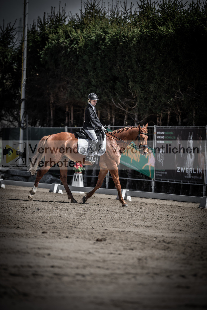 DSC_0048 | equestrian-live-com