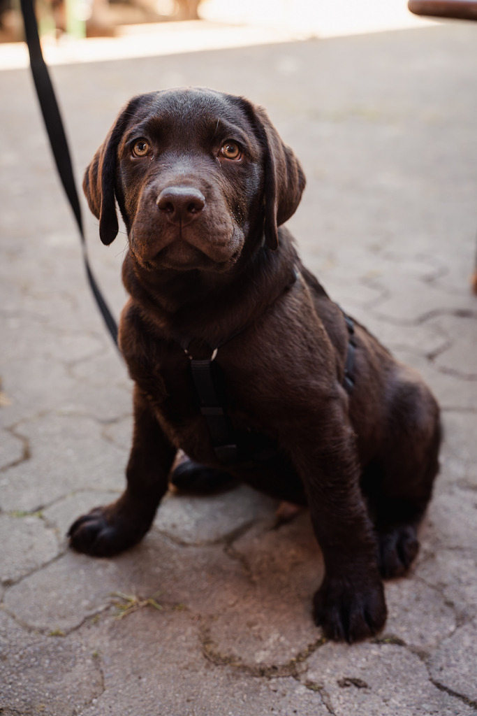 20260426-93 | MuT (Mensch und Tier) mit Mona - Fotografie und Tierkommunikation - Realisiert mit Pictrs.com