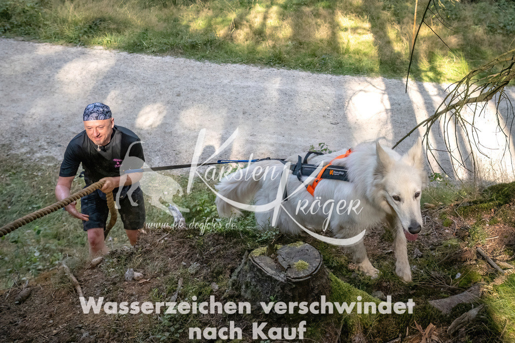 1052_ZZ93252 | kk-dogfotos