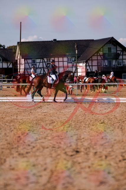2026_10_03_Siefer-Hof_125521_Z81_44046545 | Professionelle Reitsport-, Turnier- und Eventfotografie von Robert Broda. Galerien mit ausgewählten und bearbeiteten Bildern direkt online ansehen und bestellen.