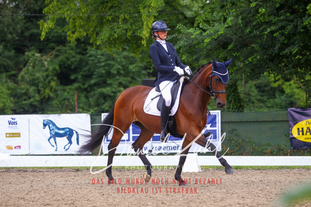 DKP41833 | Turniersportfotografie; Pferdefotografie; Dressurfotografie