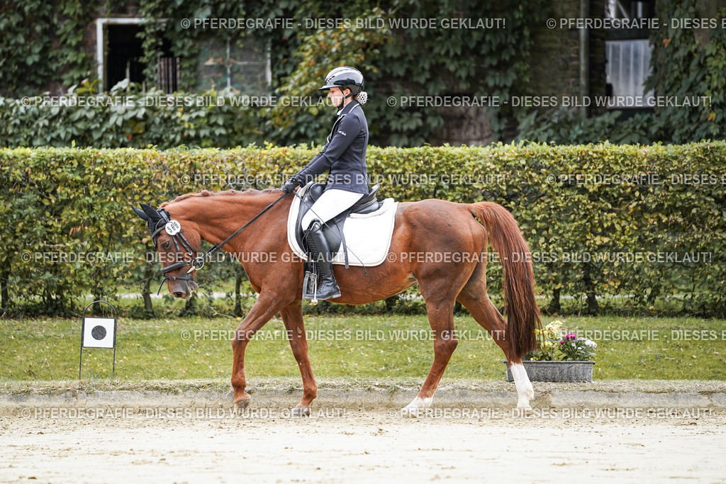 DSC04915 | Pferdegrafie