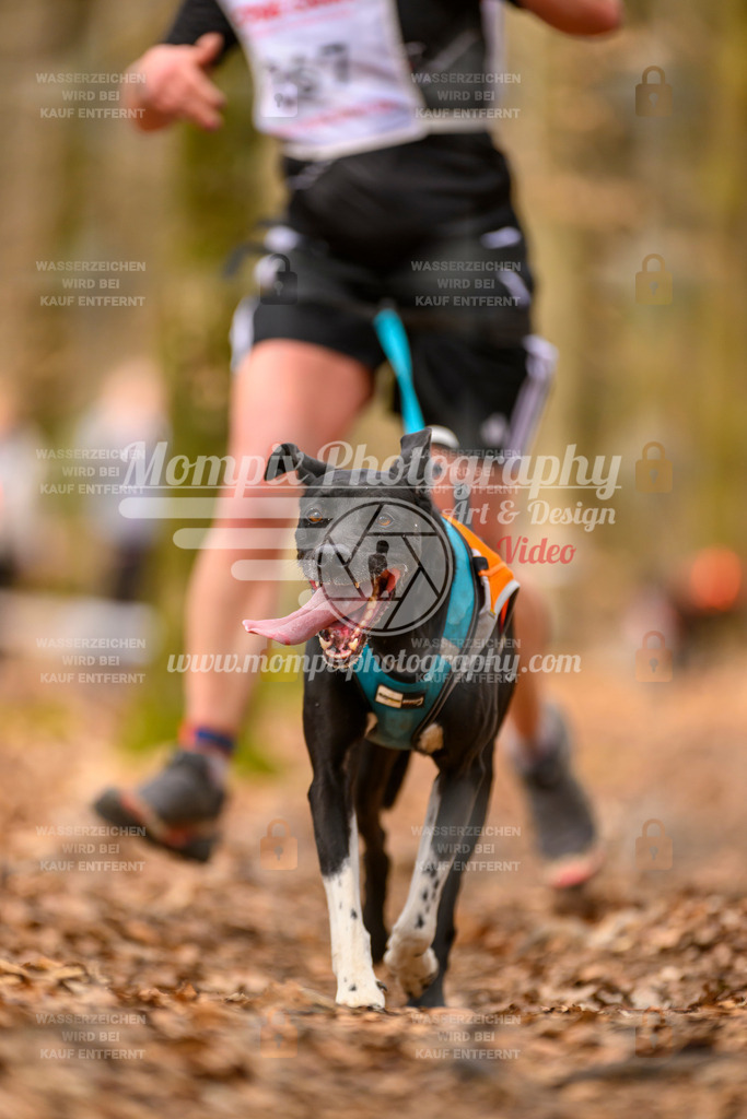MompixPhotography_Habay2025_SA_CCC-67 | PayLife