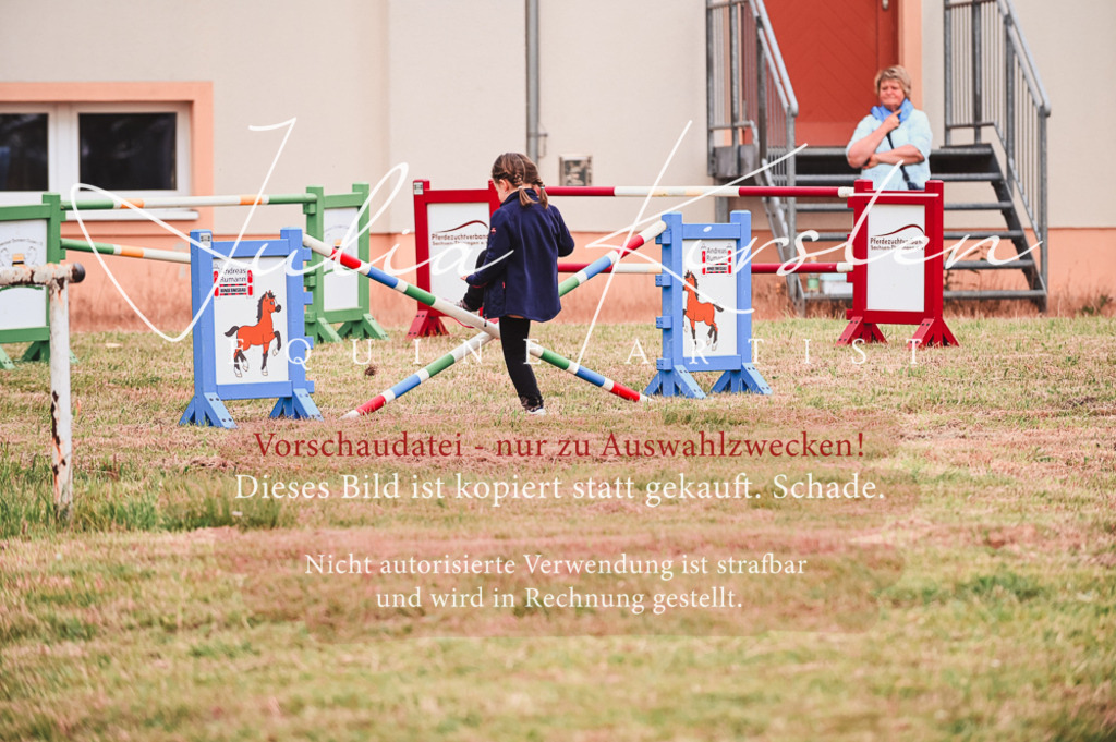 DSC_5287 | Pferde- und Turnierfotografie in Westsachsen. Pferdeportraits, Auftragszeichnungen und intuitive Kunst.