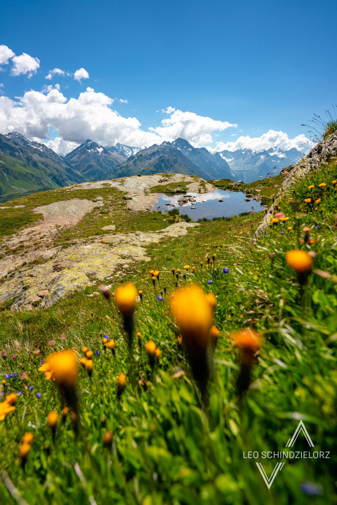 Fotografie_Leo_Schindzielorz_CH_Sommer_Silvaplana_20200807_A7R02413_org | Atmosphärische Landschaftsbilder & Drohnenaufnahmen aus dem Allgäu, Tirol, Südtirol & der Schweiz – ideal für Leinwanddrucke & zur stilvollen Raumgestaltung. - Realisiert mit Pictrs.com