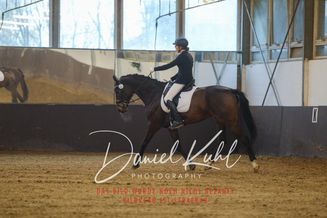 IMG_7440 | Turniersportfotografie; Pferdefotografie; Dressurfotografie