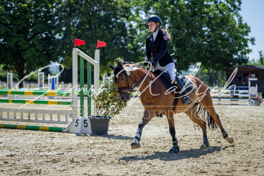 20260704-_3LI8244 | Tierfotografie Pferde, Hunde, Katzen, Haustiere.
Turnierfotografie Reitturniere, Reiten, Springreiten, Dressur in Hanau, dem Main-Kinzig-Kreis und dem Rhein-Main- Gebiet um Frankfurt
