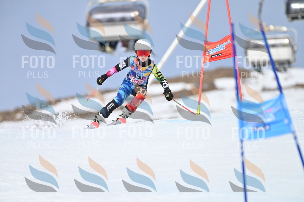 BGV_3390 | holidayphoto