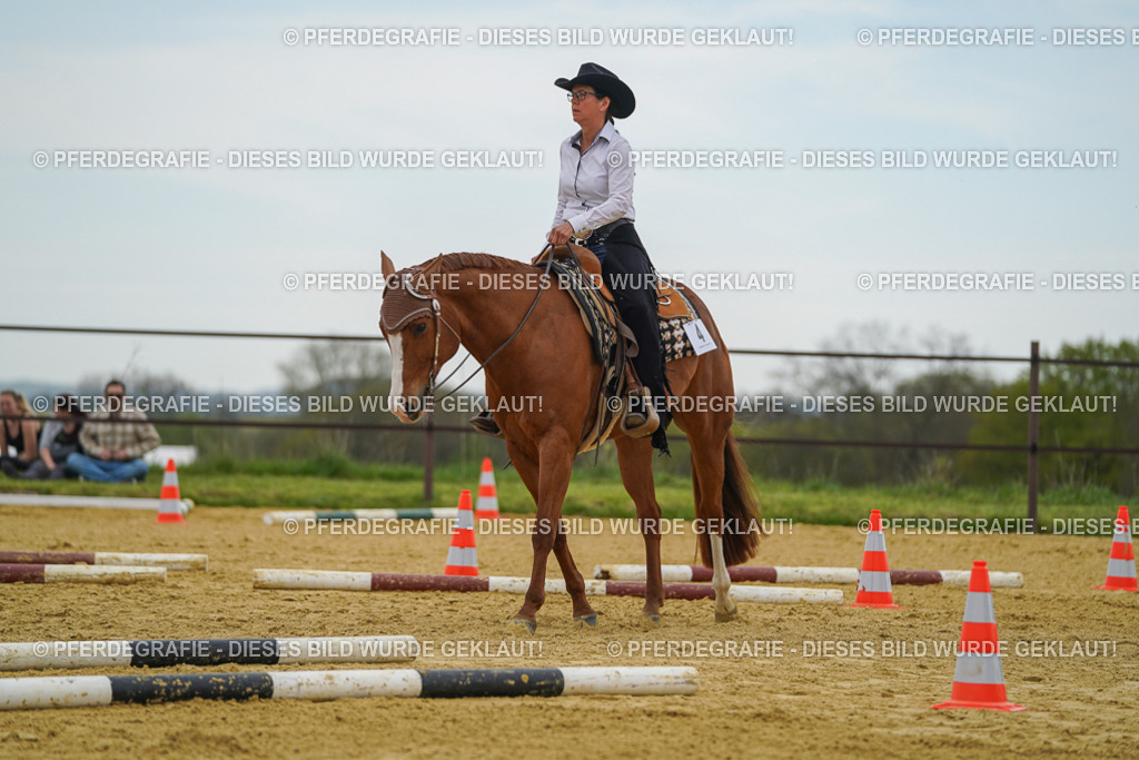 DSC02580 | Pferdegrafie