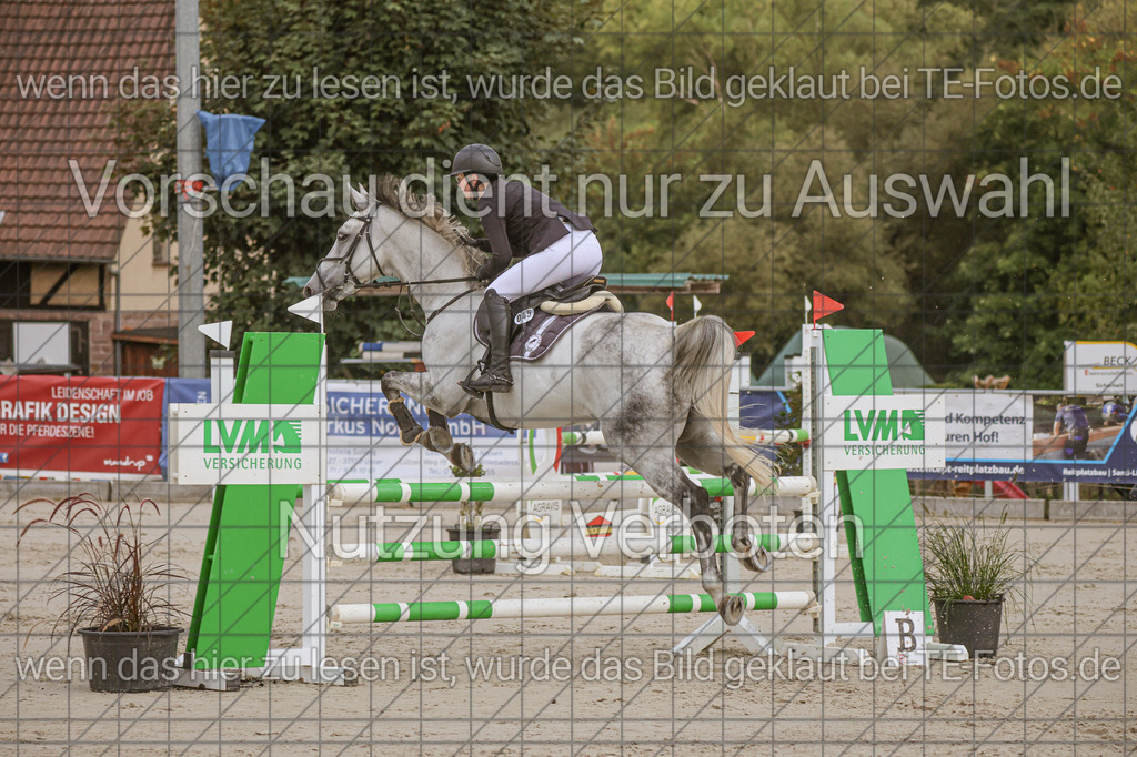 2025-09-22_09-49-55_MG_4822 | TE-Fotos