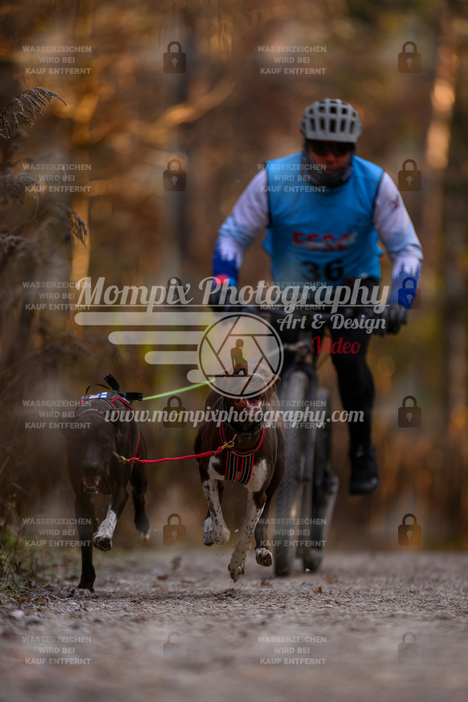 MompixPhotography_DM_AKDM_SO_2025_Scooter-8 | PayLife