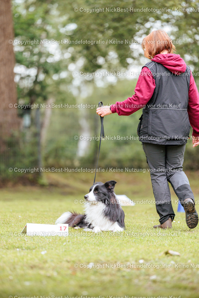RO-Blumenthal-2026-Nickbest-Hundefotografie-2777 | Dein Hund! Dein Moment! Deine Erinnerungen! Hundefotografie in Bremen Blumenthal. Ich fange die besonderen Momente deines Vierbeiners ein – ob Indoor mit Blitzanlage oder in der freien Natur. Sicher dir dein Moment und dein Termin für eure Erinnerungen.
