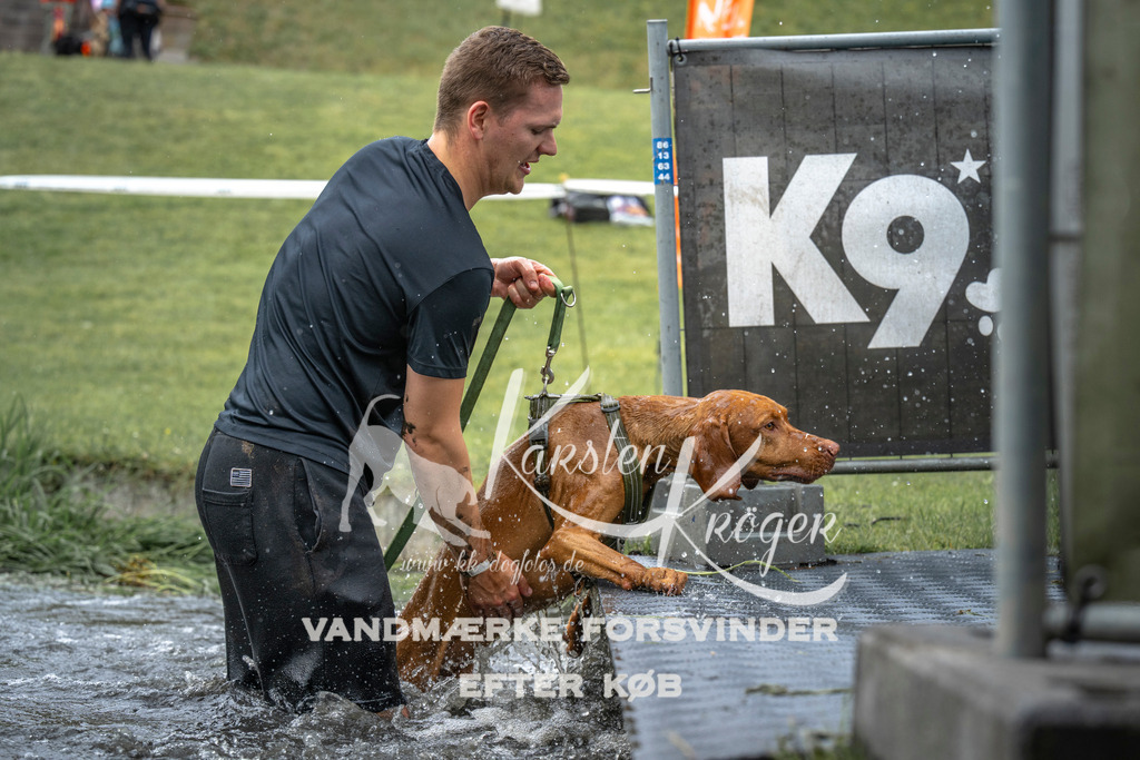 1551_ZZ96808 | kk-dogfotos