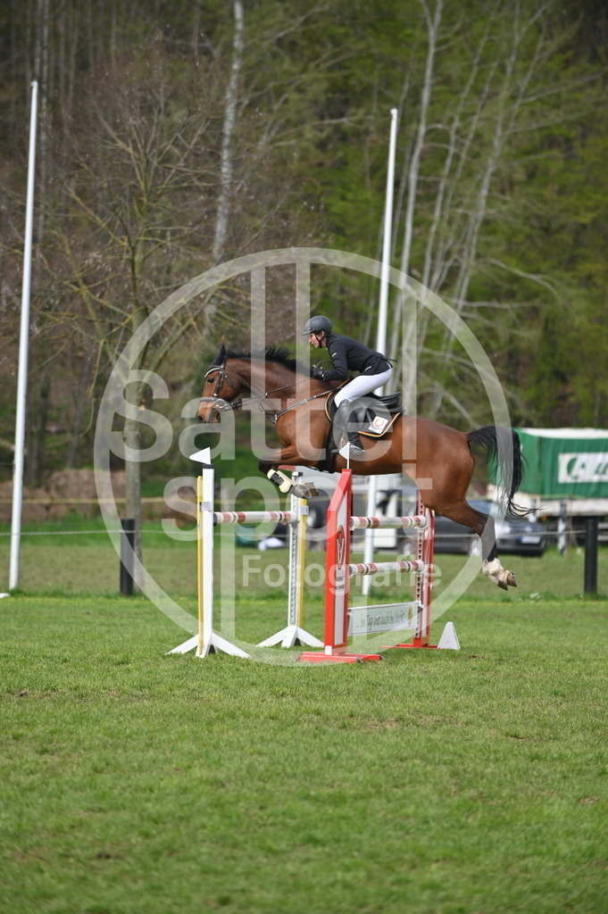 DSC_3733 | sattelsport - Realisiert mit Pictrs.com