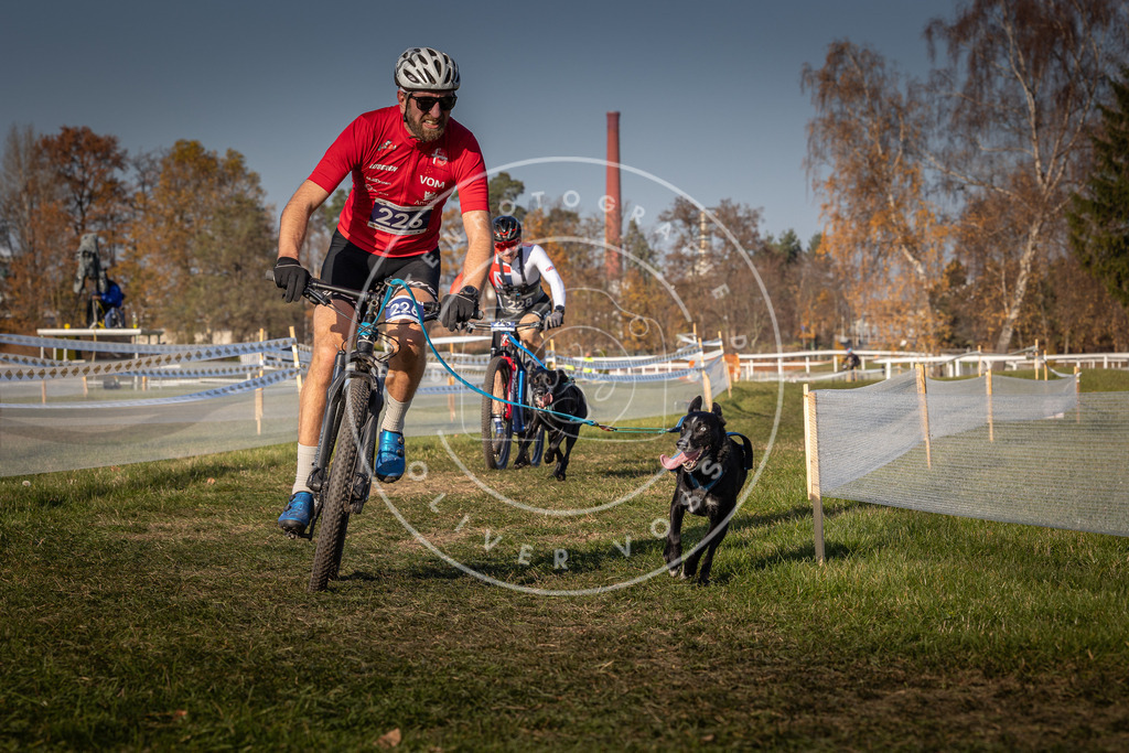 CaniXpix_0L8A7952 | Hundefotografie, Tierfotograf, Pfotenfotografie, Fotoshooting Hund, Hunde Portrait, Hundesport, Hundeportraits, Heideshooting, Hunde, Sportfotograf, Hundefotograf, Turnierhundsport, THS,  - Realisiert mit Pictrs.com