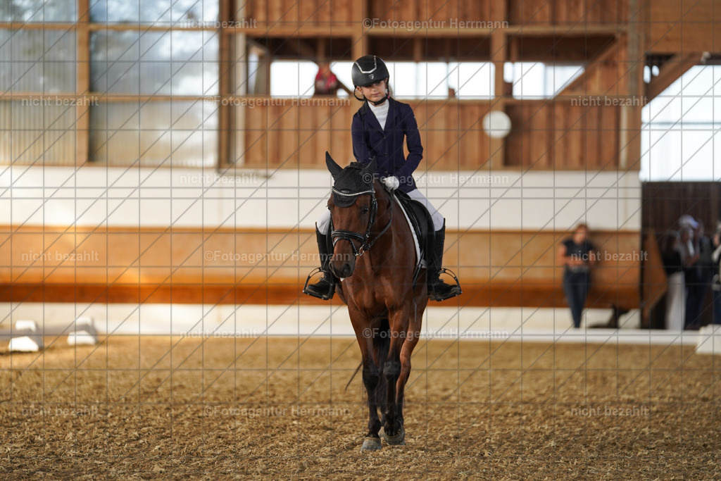 20240824-FAH07206 | Thierhaupten 2024, Bayerisches Landesponyturnier, Turnierbilder, Ponybilder, Turnierfotografen Bayern, Fotoagentur Herrmann