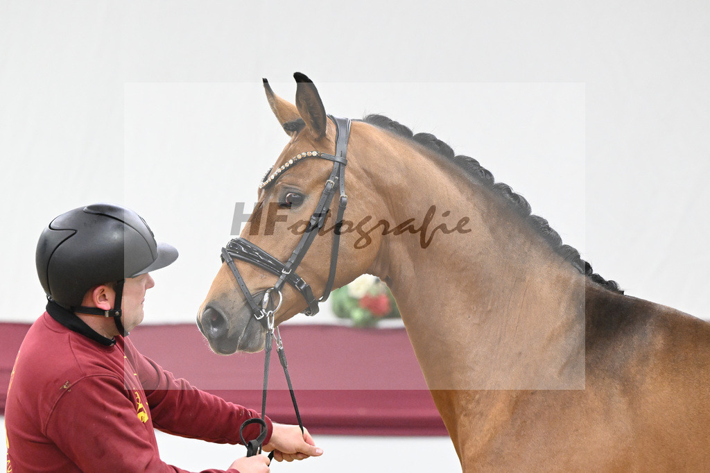 Kat-Nr. 45 Velvedere x Goldberg_Franz-Josef Kleinekoerdt_47251566 | hf-fotografie - Realisiert mit Pictrs.com