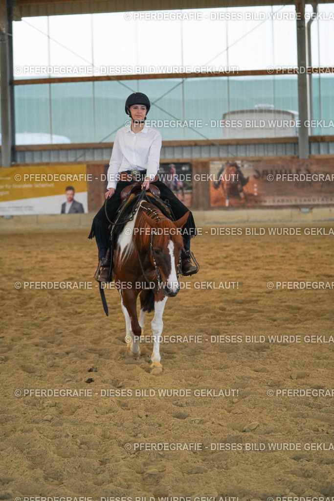 DSC09186 | Pferdegrafie